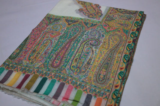 Multicolor Paisley Shawl