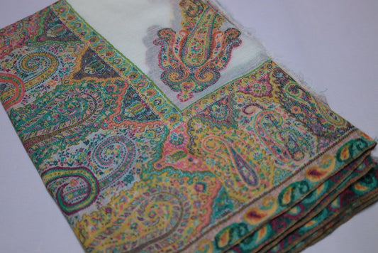 Multicolor Paisley Shawl